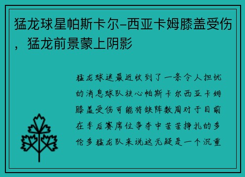 猛龙球星帕斯卡尔-西亚卡姆膝盖受伤，猛龙前景蒙上阴影